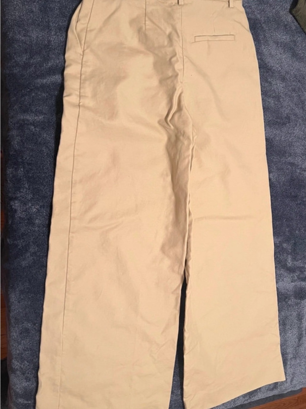 Banana Republic Wide Leg Pants in Light Beige